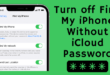 How to Disable Find My iPhone Without Password