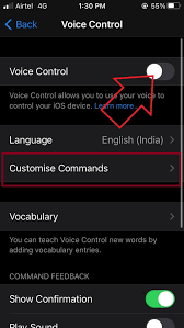 How to Disable Voice Control on iPhone 6