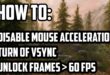 How to Disable Vertical Sync in Skyrim